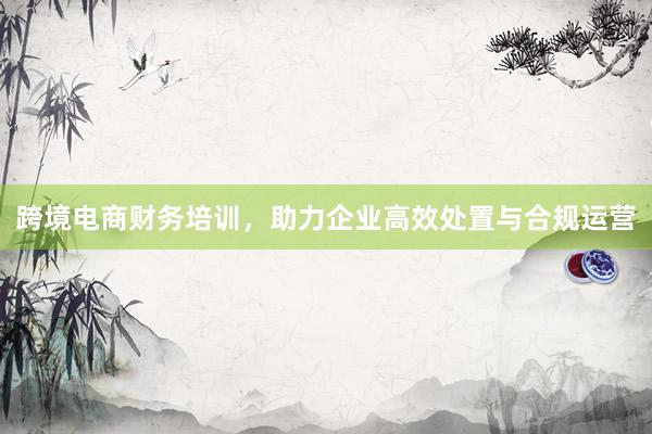 跨境电商财务培训，助力企业高效处置与合规运营
