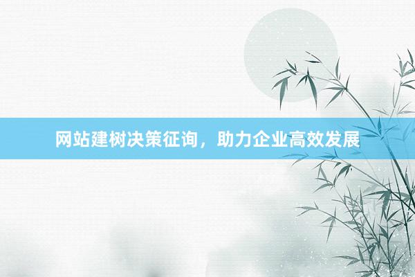 网站建树决策征询，助力企业高效发展