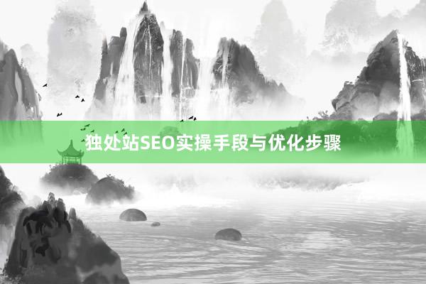 独处站SEO实操手段与优化步骤