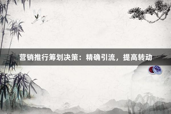 营销推行筹划决策：精确引流，提高转动