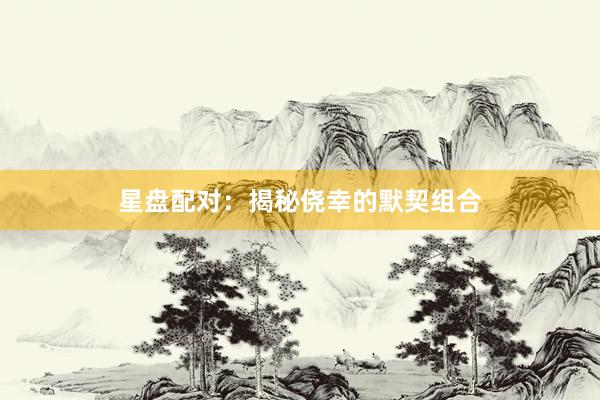 星盘配对：揭秘侥幸的默契组合