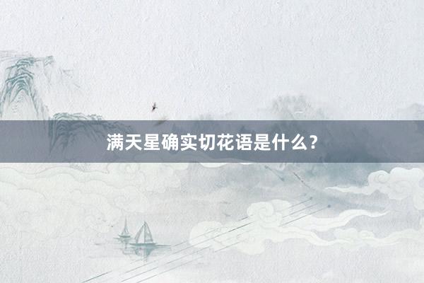 满天星确实切花语是什么？